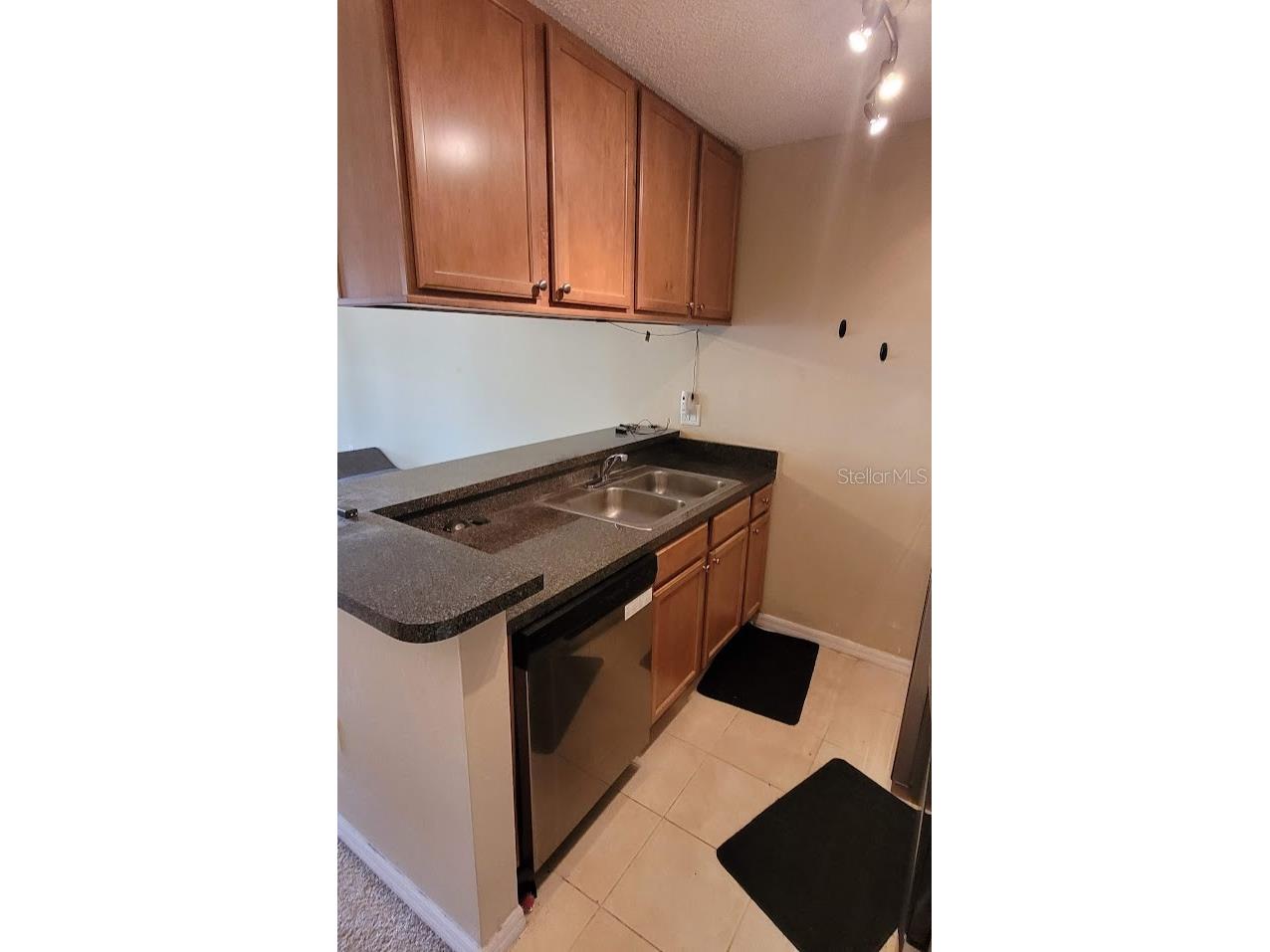 302 Lake Parsons Green #102 Brandon FL 33511 TB8496097 image7