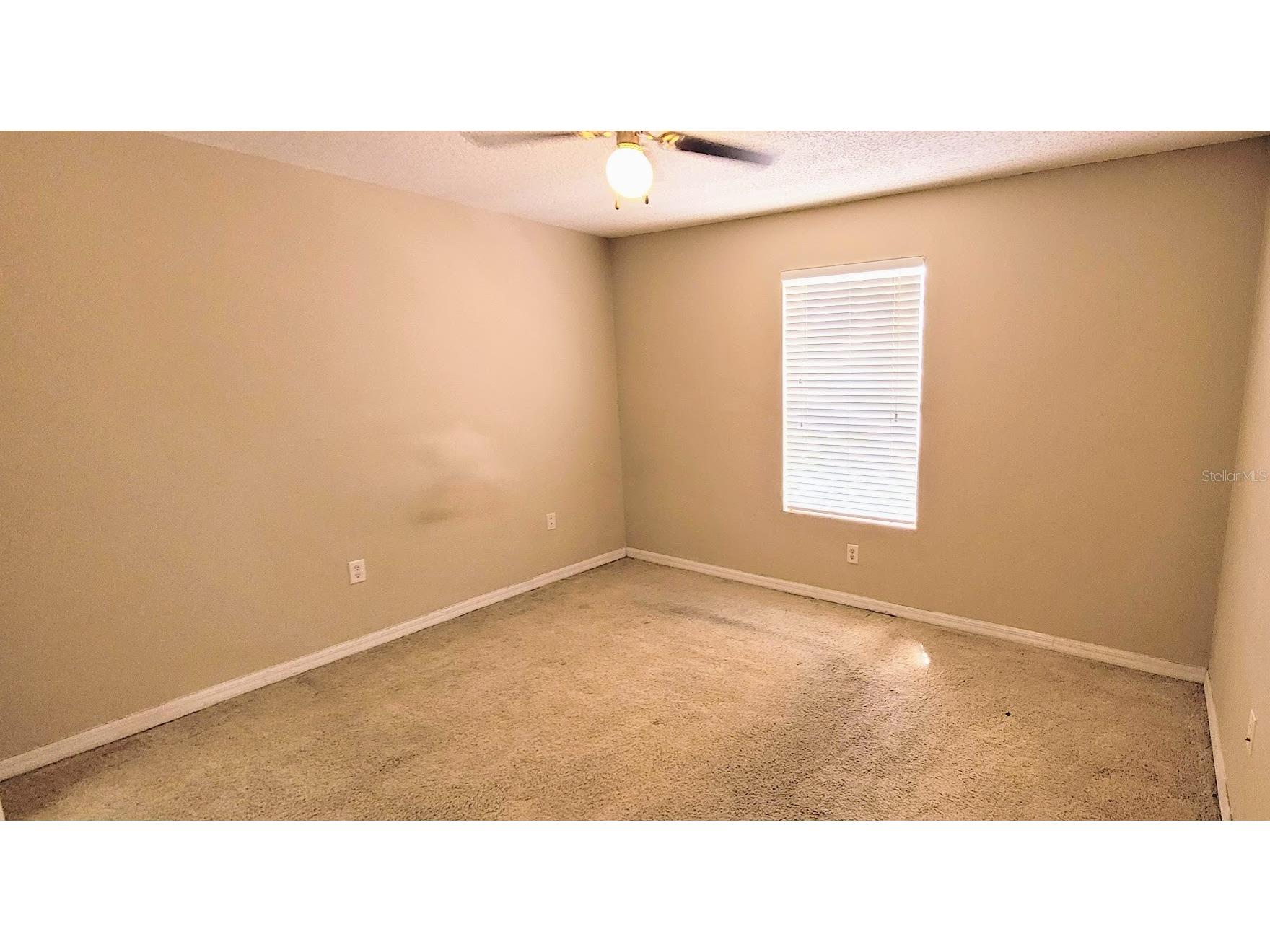 302 Lake Parsons Green #102 Brandon FL 33511 TB8496097 image9