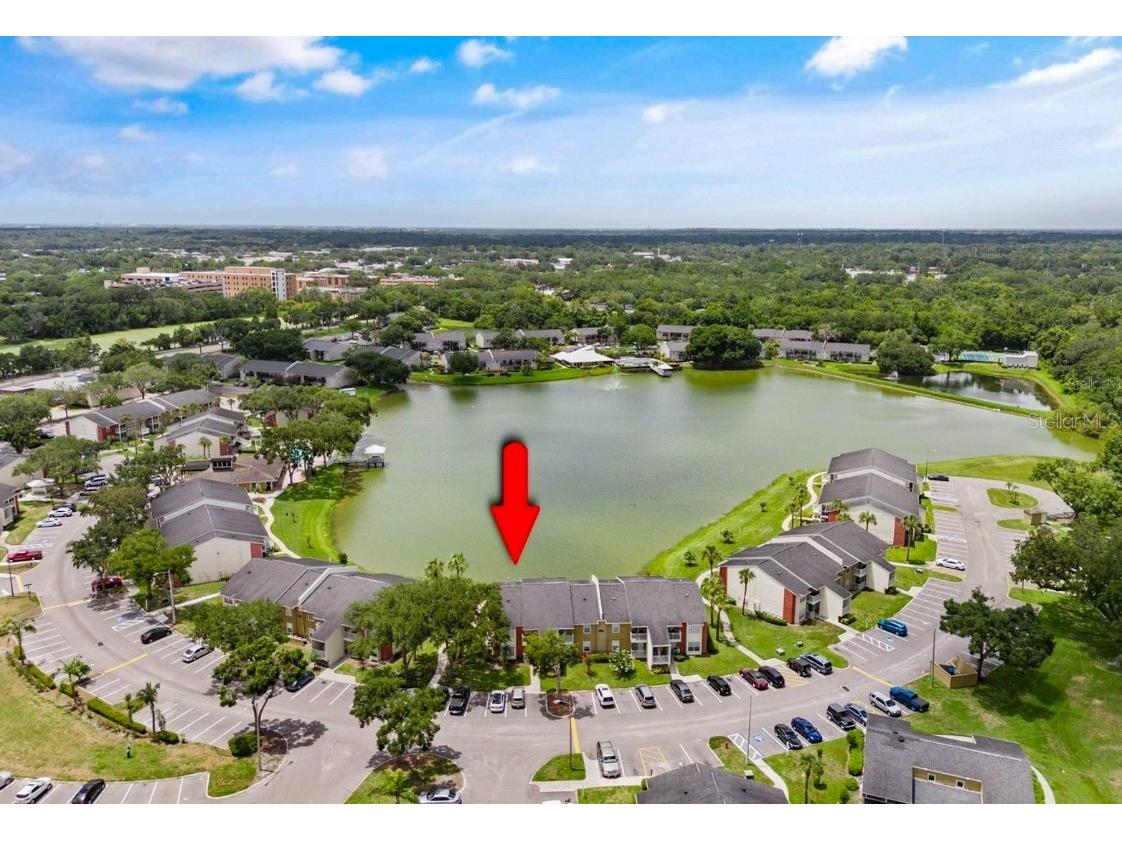 302 Lake Parsons Green #202 Brandon FL 33511 U8249195 image1