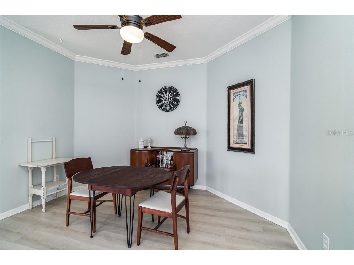 302 Latitude Place Apollo Beach FL 33572 TB8445227 image5