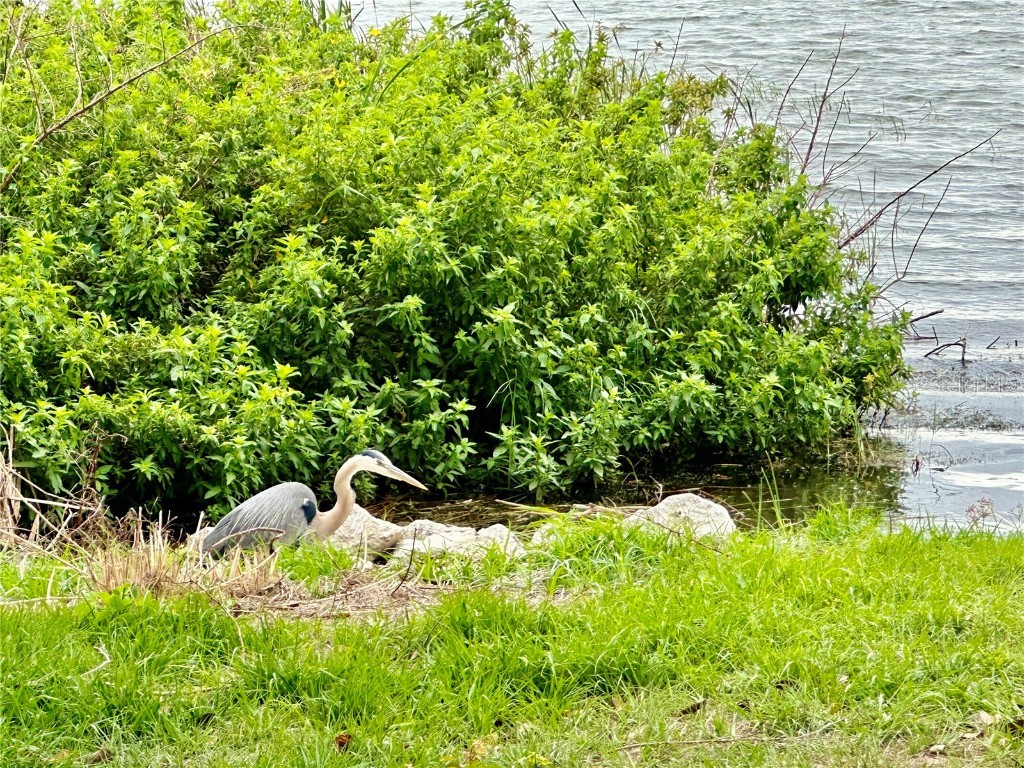 302 Luna Road Auburndale FL 33823 L4951521 image44