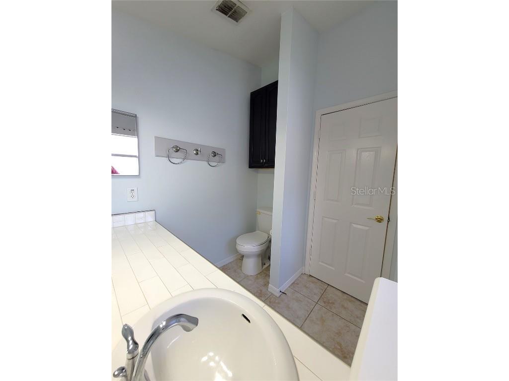 302 Mantis Loop Apopka FL 32703 O6243273 image27