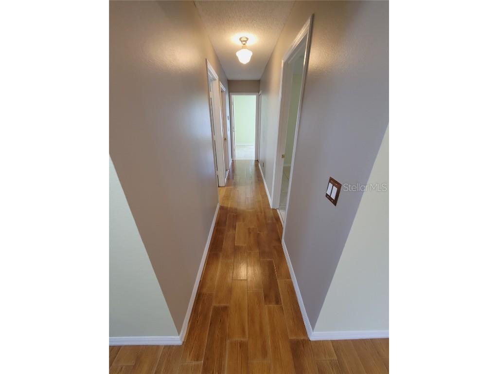 302 Mantis Loop Apopka FL 32703 O6243273 image31