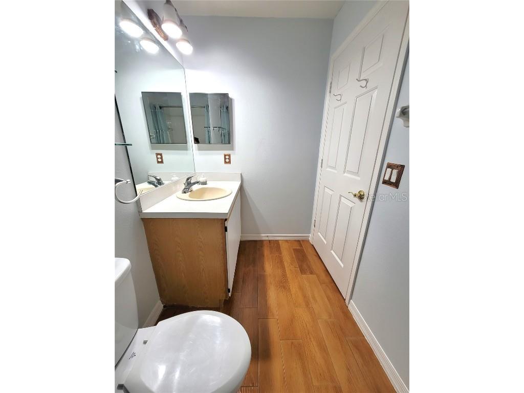 302 Mantis Loop Apopka FL 32703 O6243273 image36