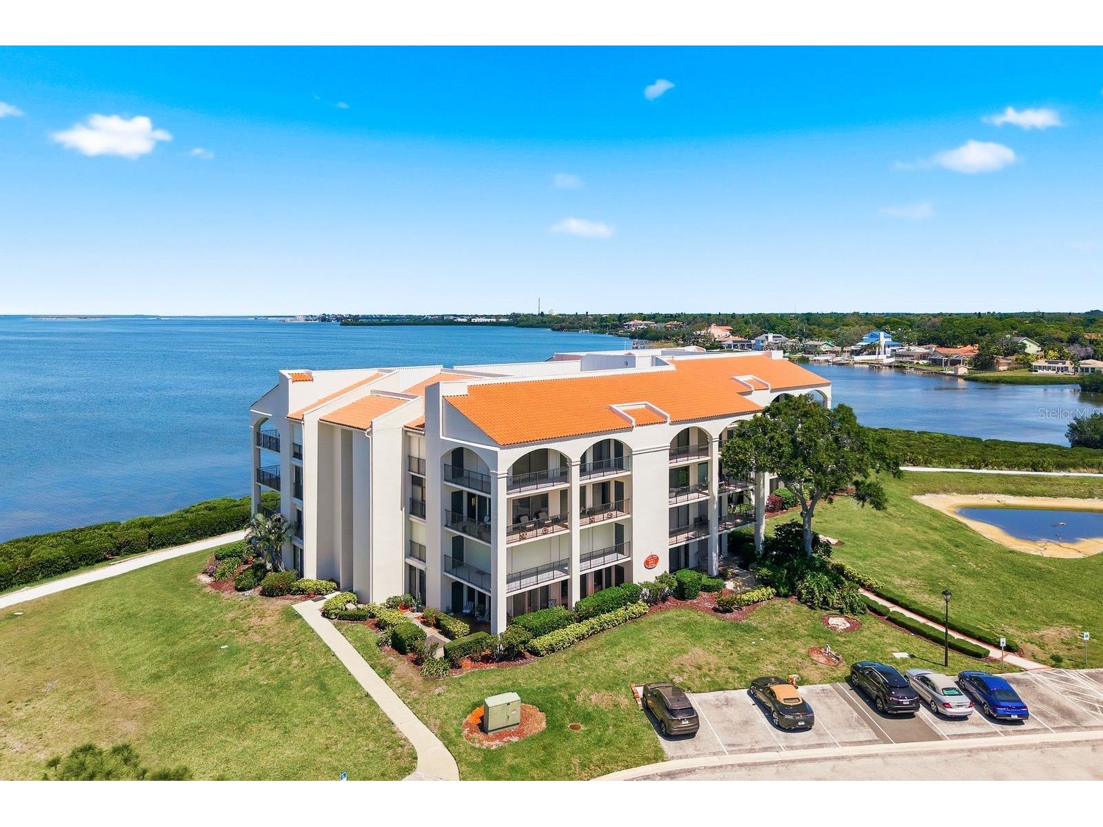 302 Mariner Drive #302 Tarpon Springs FL 34689 TB8501199 image28