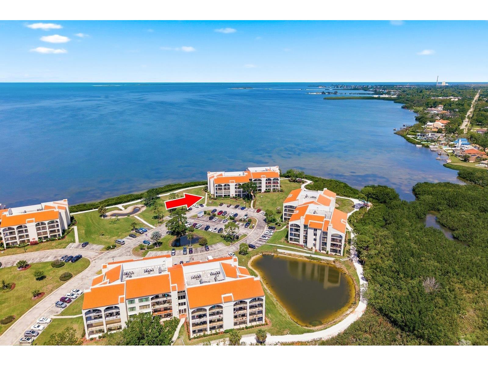 302 Mariner Drive #302 Tarpon Springs FL 34689 TB8501199 image3