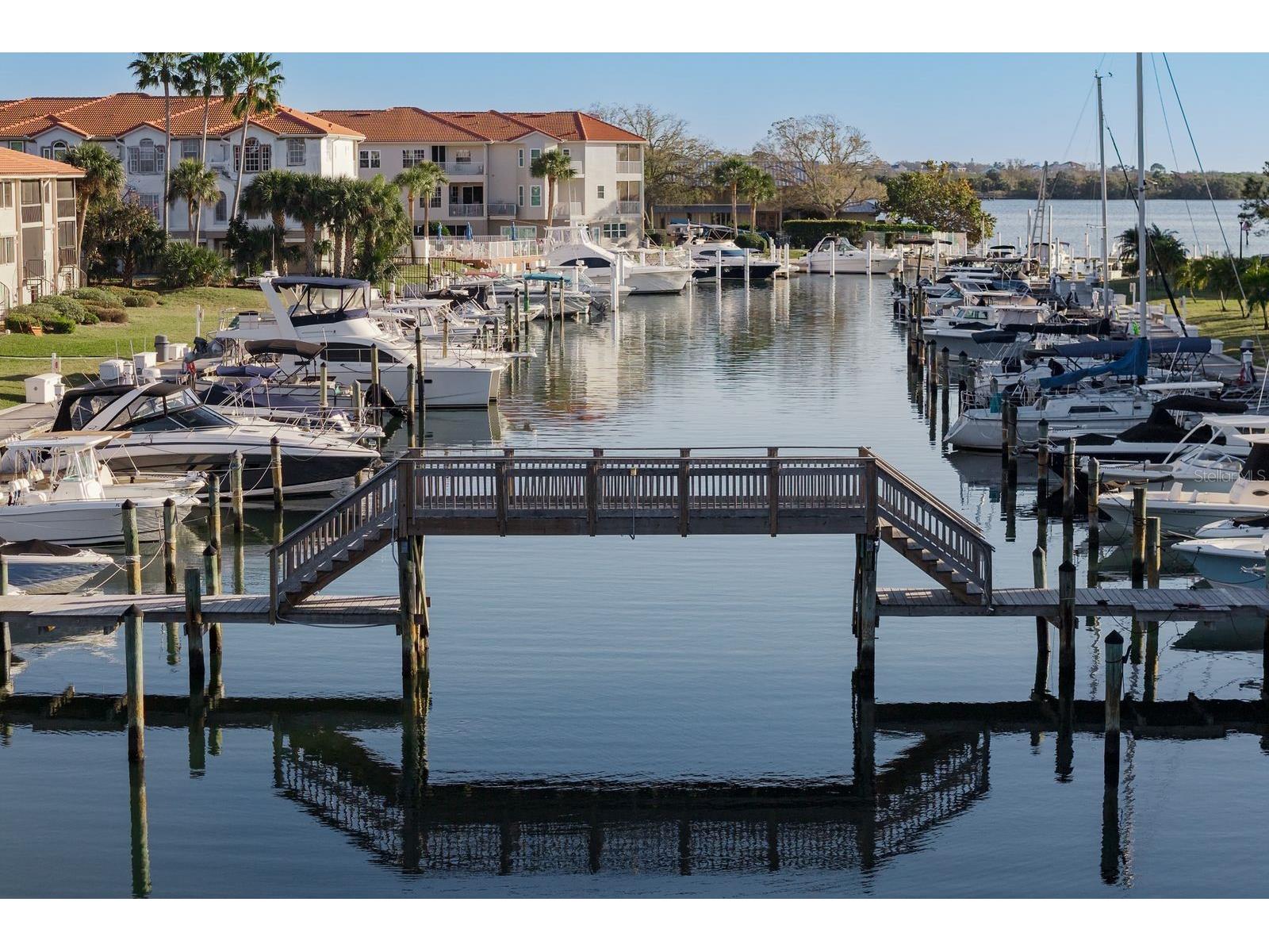 302 Mariner Drive #302 Tarpon Springs FL 34689 TB8501199 image43