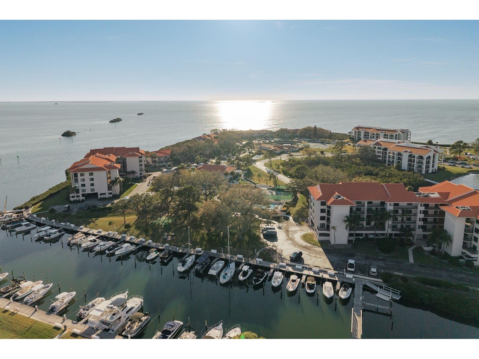 302 Mariner Drive #302 Tarpon Springs FL 34689 TB8501199 image45