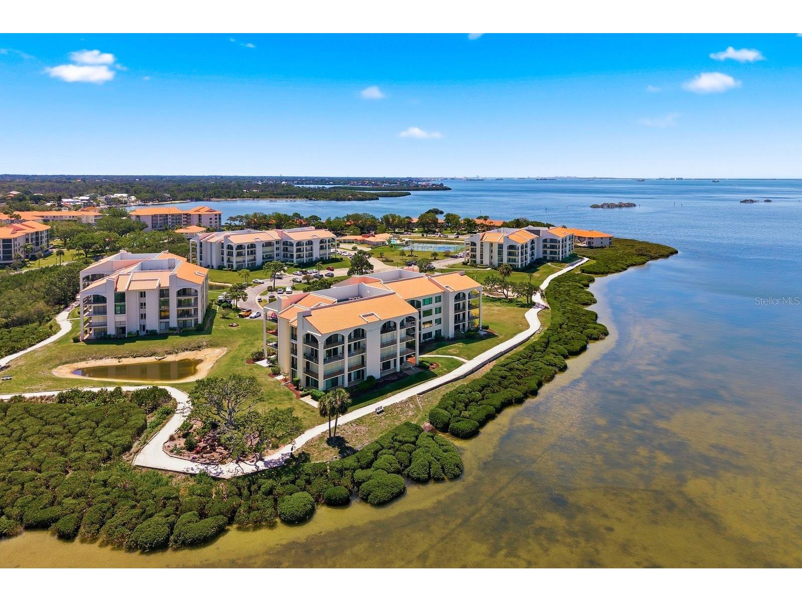 302 Mariner Drive #302 Tarpon Springs FL 34689 TB8501199 image51