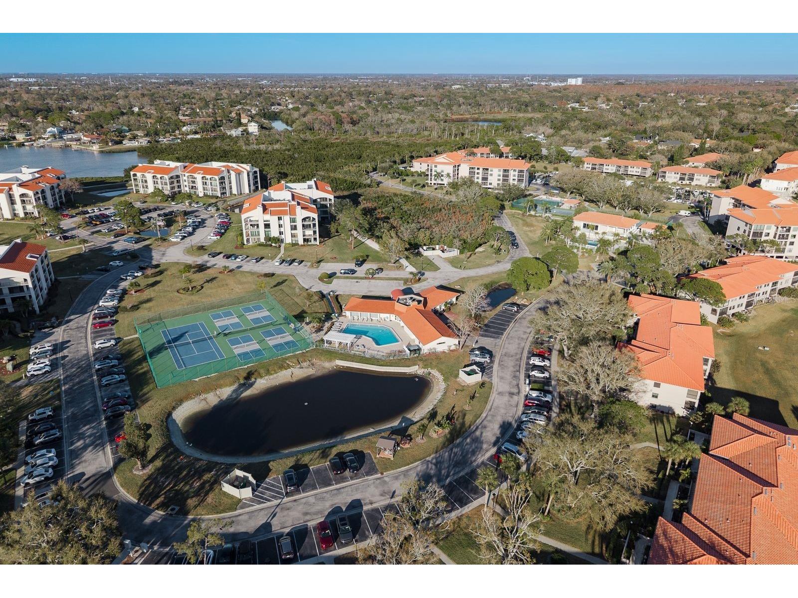 302 Mariner Drive #302 Tarpon Springs FL 34689 TB8501199 image61