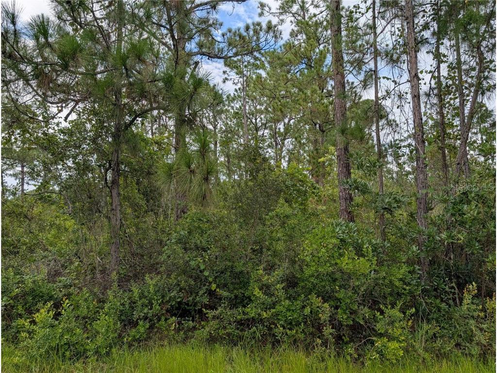 302 Pandora Drive Indian Lake Estates FL 33855 - LAKE WALK-IN-WATER TB8415401 image2