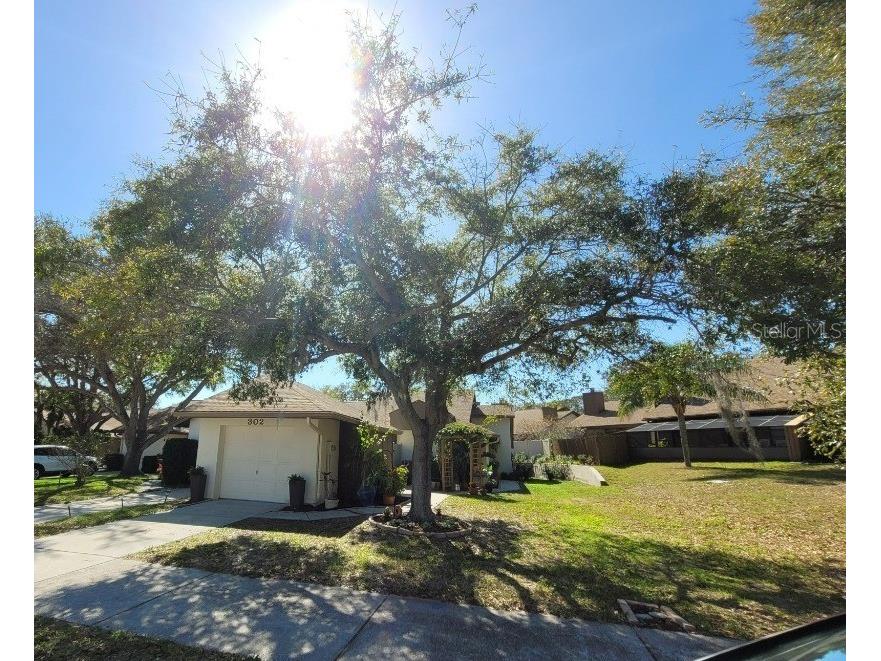 302 Parkside Lane Safety Harbor FL 34695 U8189730 image1