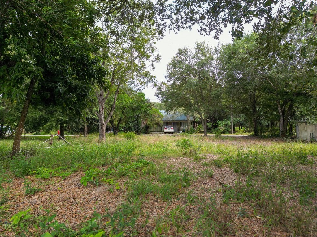 302 Pine Street Dundee FL 33838 S5135731 image3