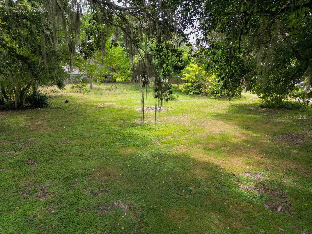 302 Pine Street Dundee FL 33838 S5135731 image4