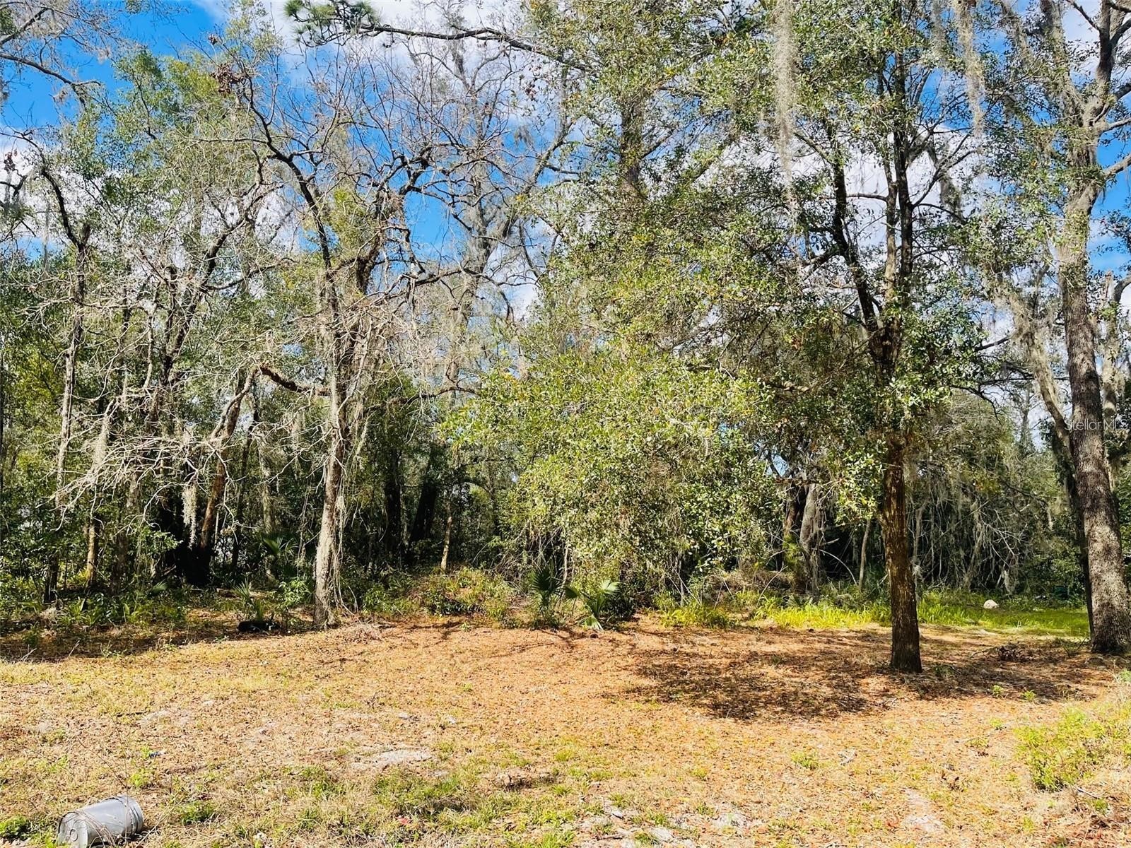 302 S Country Club Lake Mary FL 32746 O6410923 image6