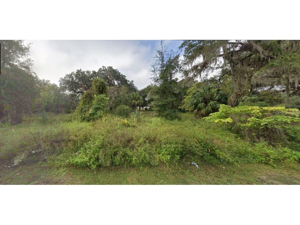302 SE 65th Avenue Hawthorne FL 32640 O6267905 image2