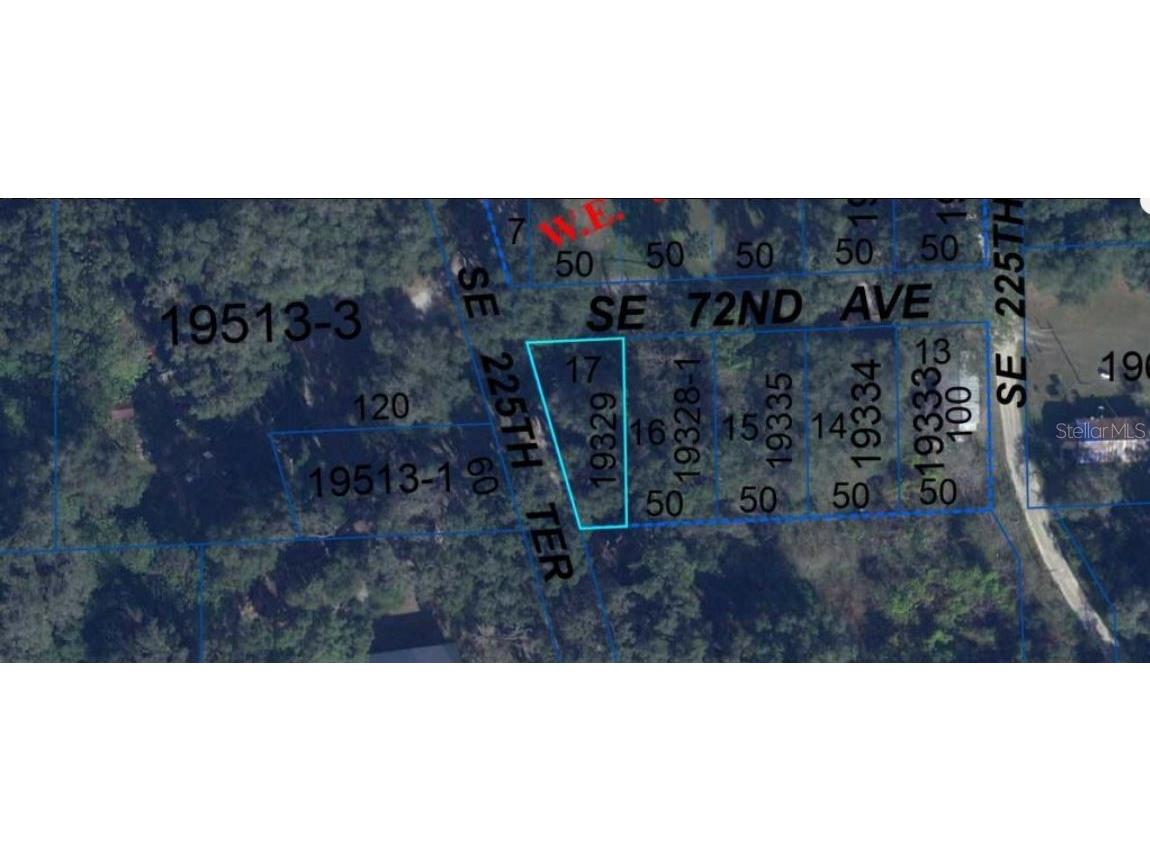 302 SE 65th Avenue Hawthorne FL 32640 O6267905 image3