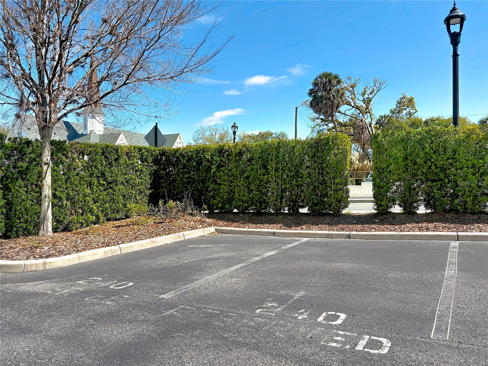 302 SE Broadway Street #240 Ocala FL 34471 O6386640 image31