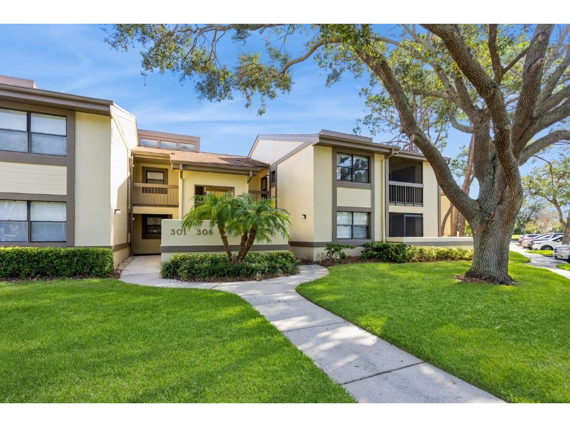 302 Woodlake Wynde #3 Oldsmar FL 34677 TB8321170 image1