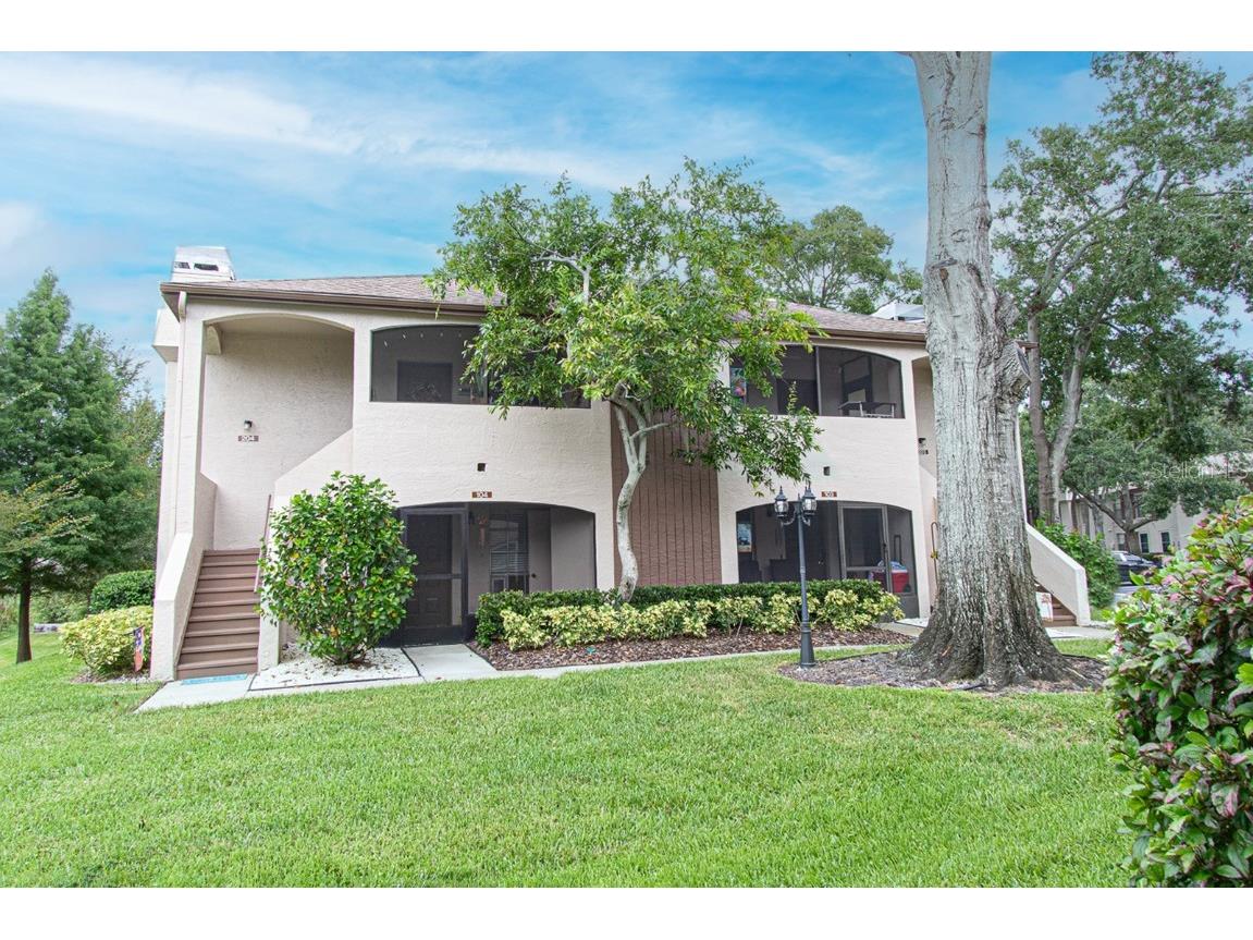 3020 Bonaventure Circle #204 Palm Harbor FL 34684 TB8424227 image11