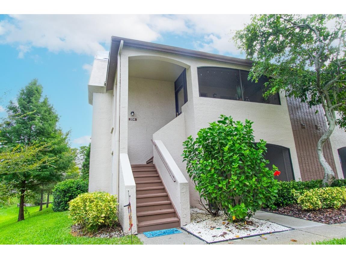 3020 Bonaventure Circle #204 Palm Harbor FL 34684 TB8424227 image12