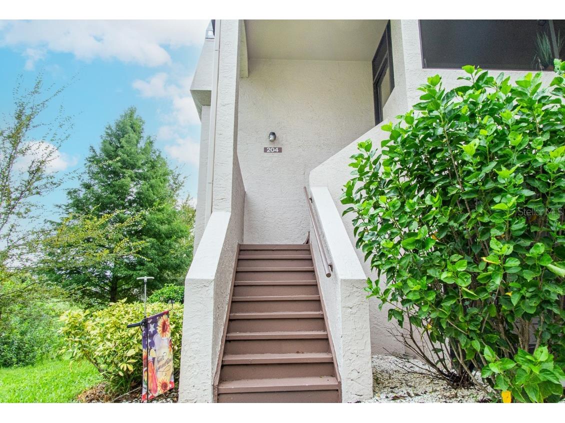 3020 Bonaventure Circle #204 Palm Harbor FL 34684 TB8424227 image13