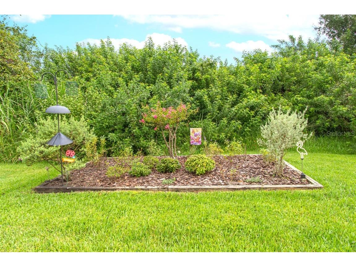 3020 Bonaventure Circle #204 Palm Harbor FL 34684 TB8424227 image15