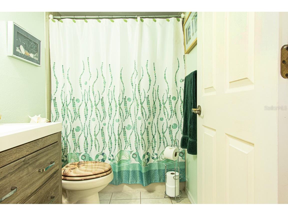 3020 Bonaventure Circle #204 Palm Harbor FL 34684 TB8424227 image33