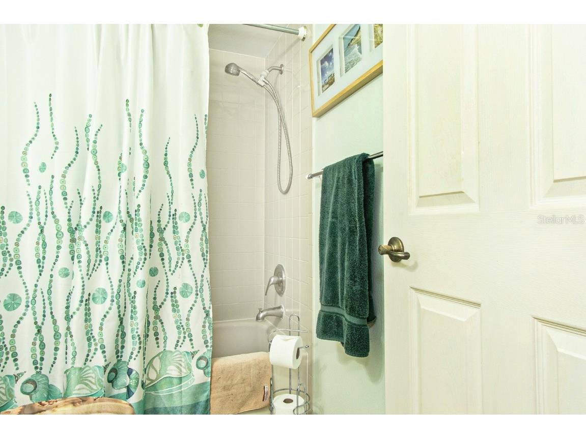 3020 Bonaventure Circle #204 Palm Harbor FL 34684 TB8424227 image34