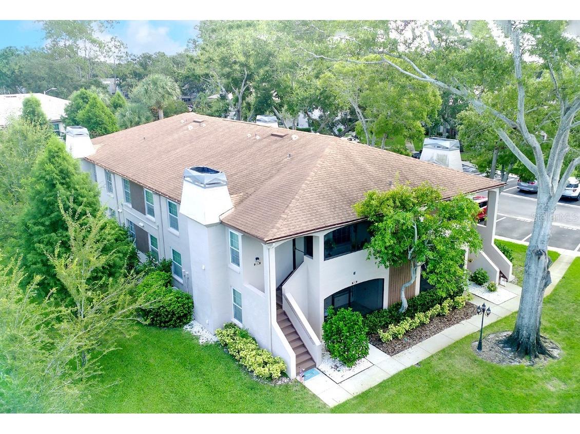 3020 Bonaventure Circle #204 Palm Harbor FL 34684 TB8424227 image4