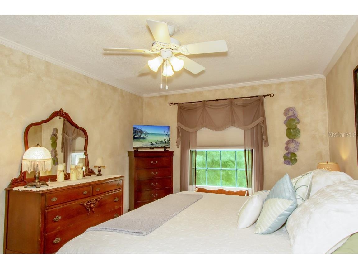 3020 Bonaventure Circle #204 Palm Harbor FL 34684 TB8424227 image41