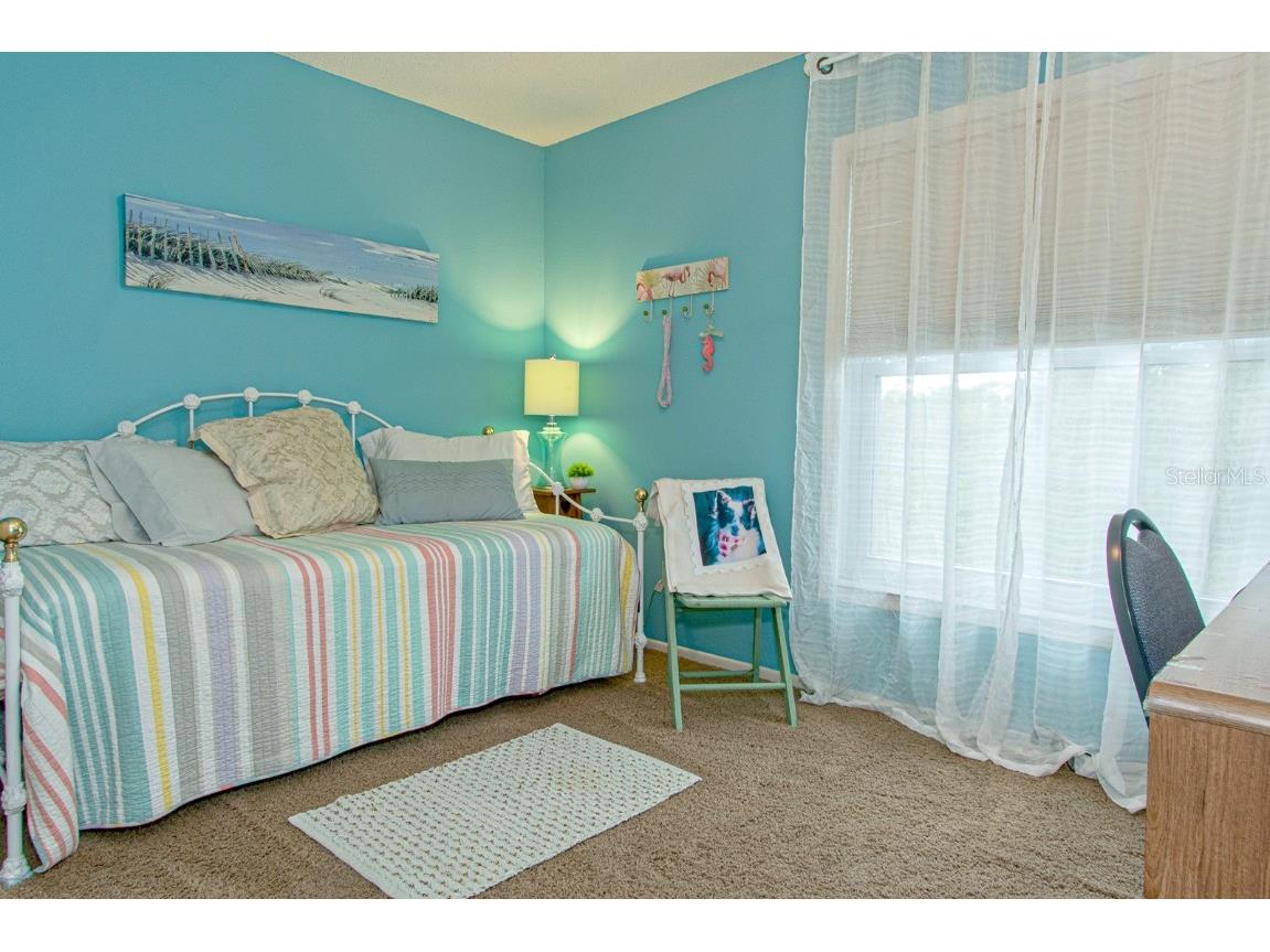 3020 Bonaventure Circle #204 Palm Harbor FL 34684 TB8424227 image49