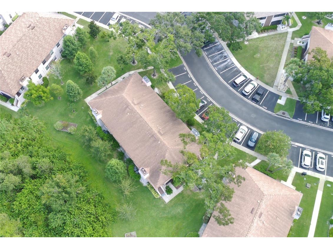 3020 Bonaventure Circle #204 Palm Harbor FL 34684 TB8424227 image5