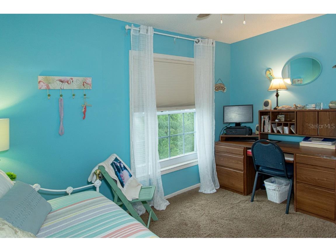 3020 Bonaventure Circle #204 Palm Harbor FL 34684 TB8424227 image50