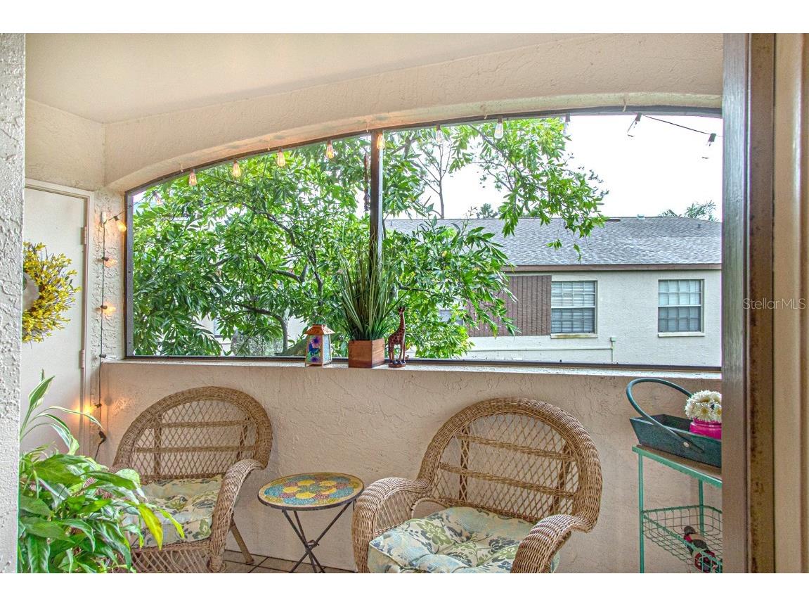 3020 Bonaventure Circle #204 Palm Harbor FL 34684 TB8424227 image53