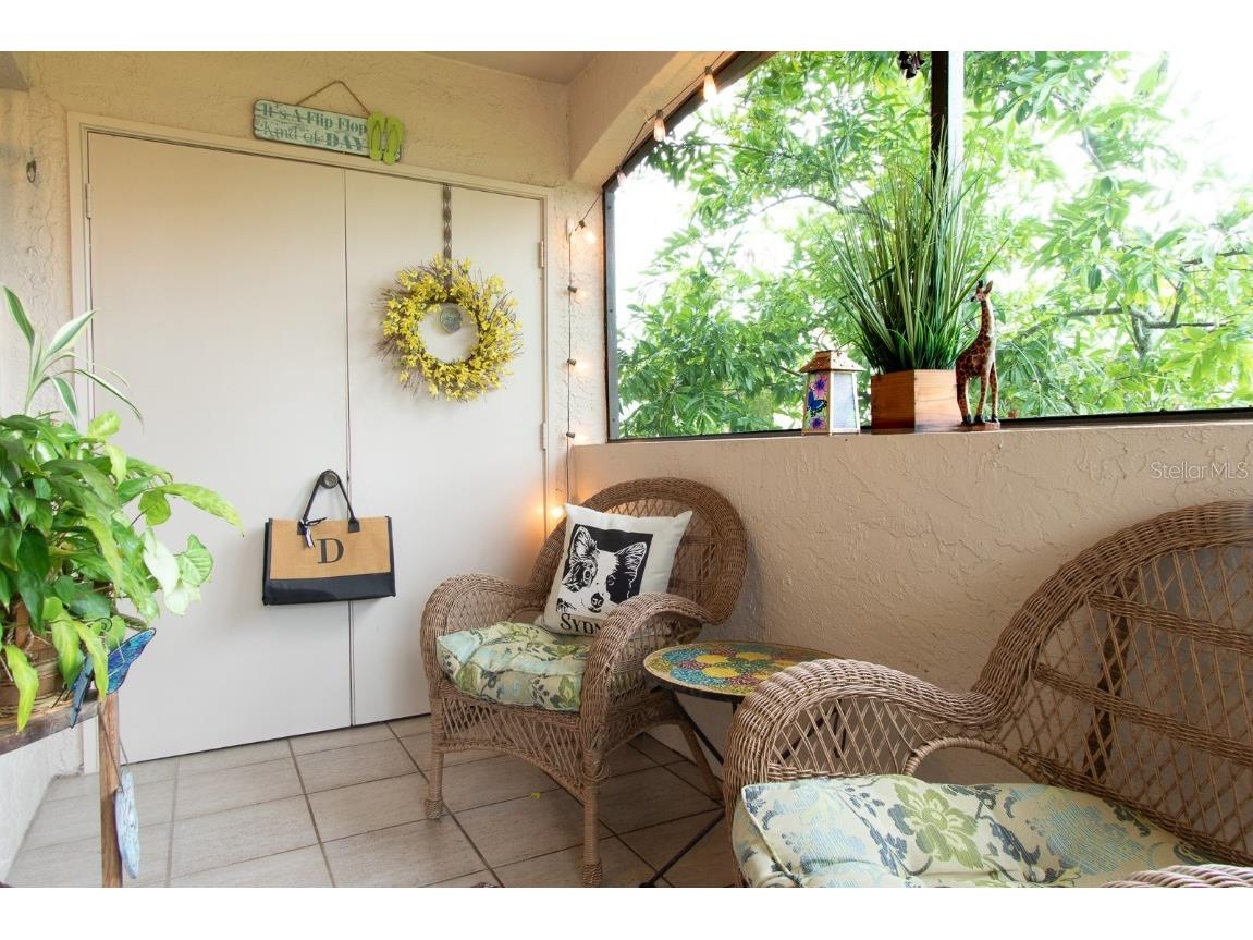 3020 Bonaventure Circle #204 Palm Harbor FL 34684 TB8424227 image54