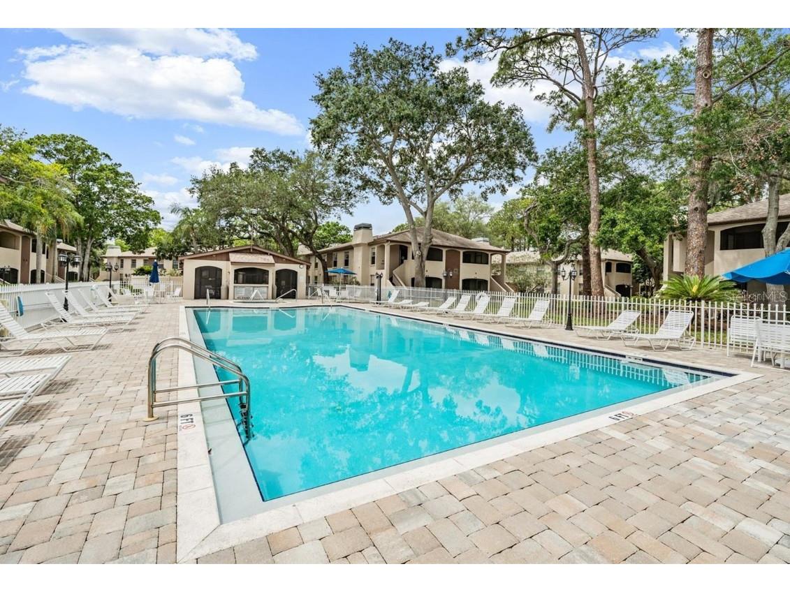 3020 Bonaventure Circle #204 Palm Harbor FL 34684 TB8424227 image58