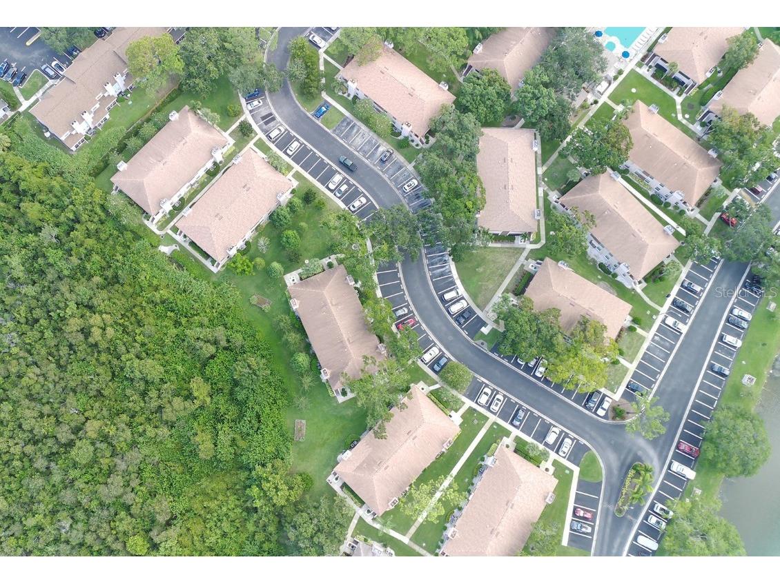 3020 Bonaventure Circle #204 Palm Harbor FL 34684 TB8424227 image6