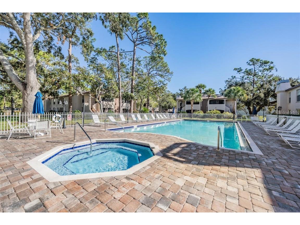 3020 Bonaventure Circle #204 Palm Harbor FL 34684 TB8424227 image61