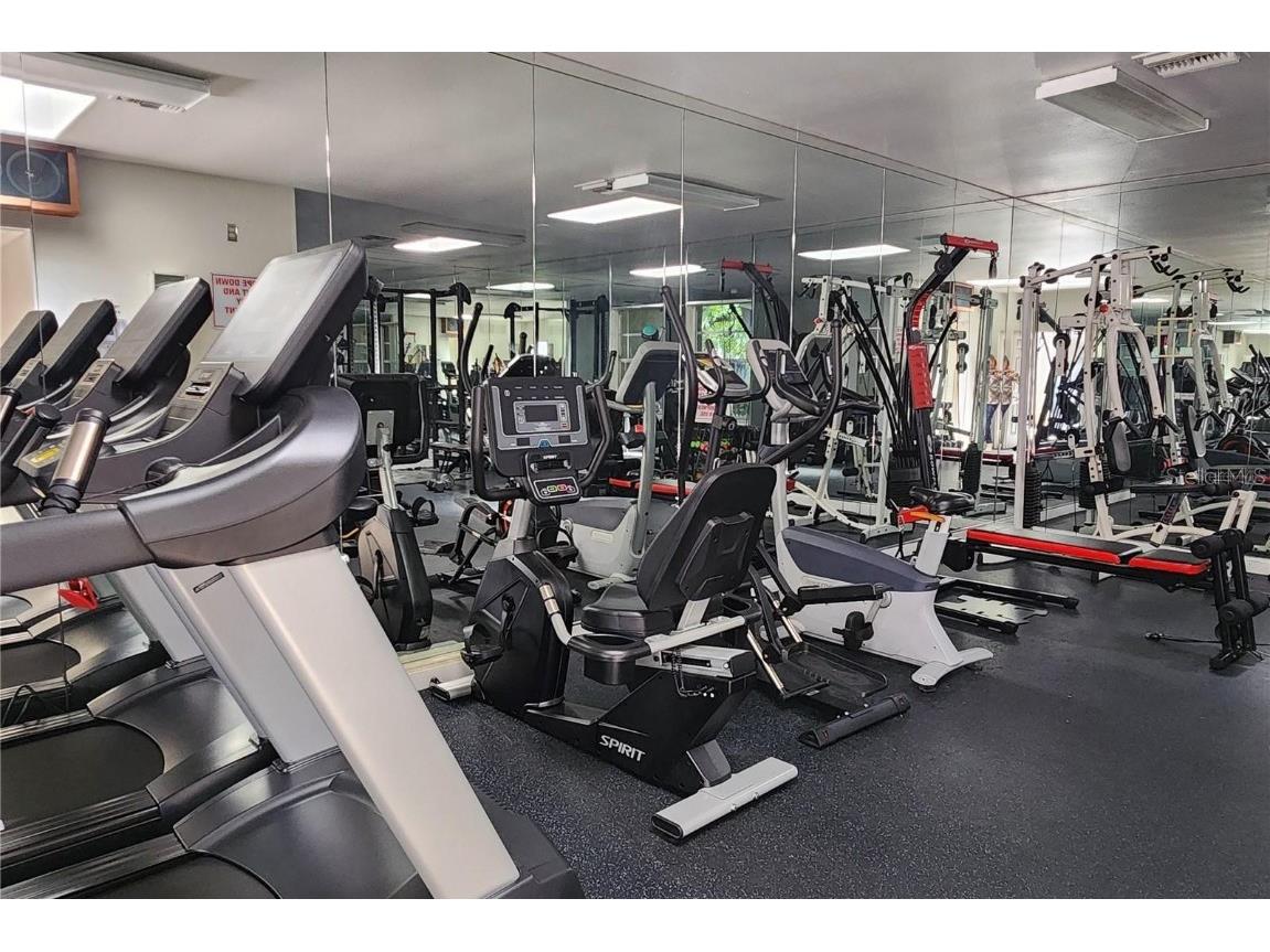 3020 Bonaventure Circle #204 Palm Harbor FL 34684 TB8424227 image66