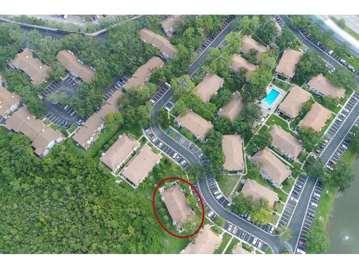 3020 Bonaventure Circle #204 Palm Harbor FL 34684 TB8424227 image7