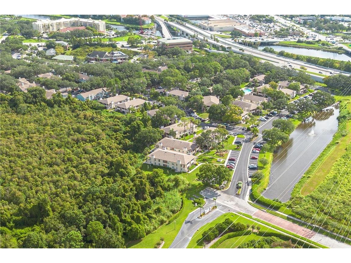 3020 Bonaventure Circle #204 Palm Harbor FL 34684 TB8424227 image72