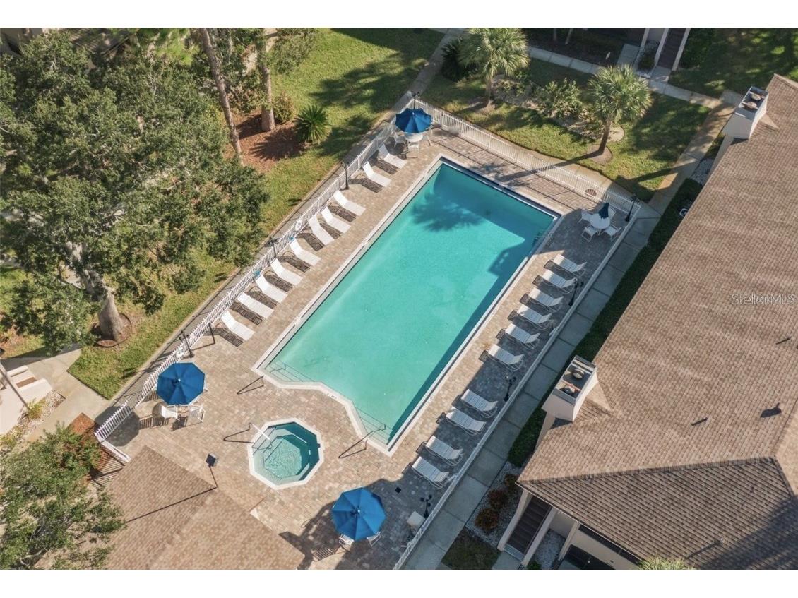 3020 Bonaventure Circle #204 Palm Harbor FL 34684 TB8424227 image8