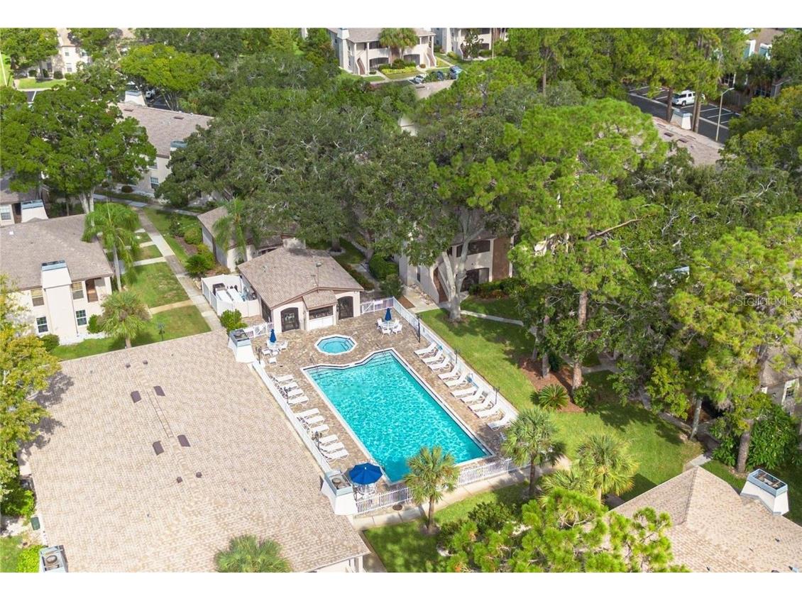 3020 Bonaventure Circle #204 Palm Harbor FL 34684 TB8424227 image9