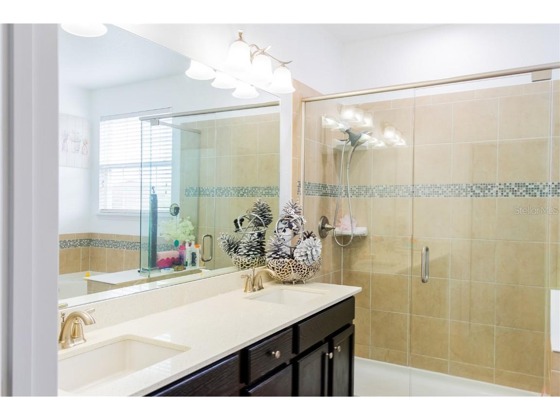 3020 Cardillino Way Kissimmee FL 34741 S5136081 image41