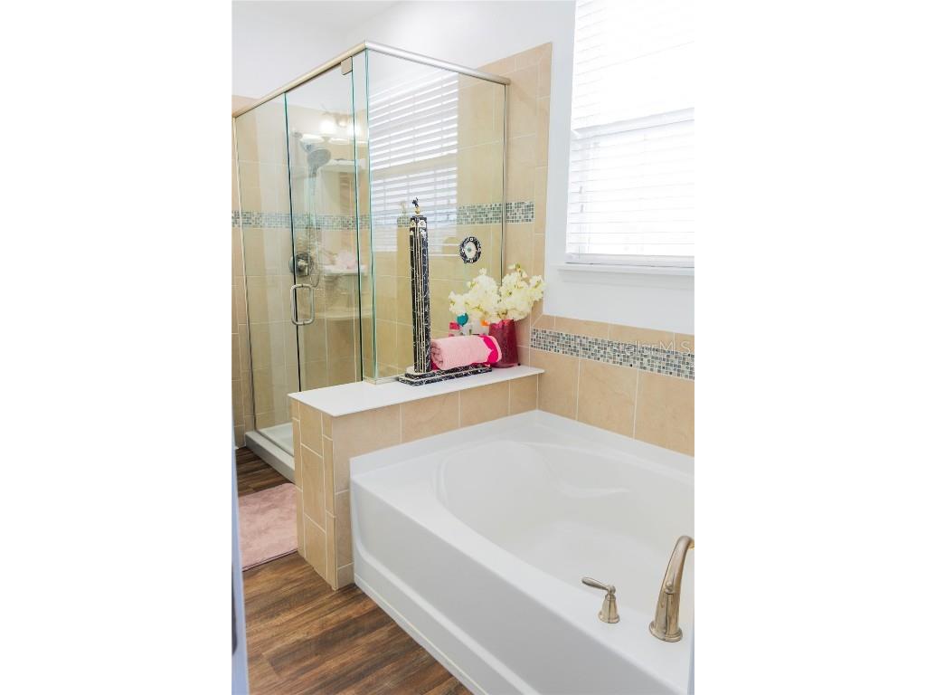 3020 Cardillino Way Kissimmee FL 34741 S5136081 image42