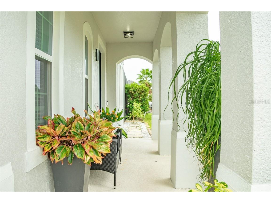 3020 Cardillino Way Kissimmee FL 34741 S5136081 image9