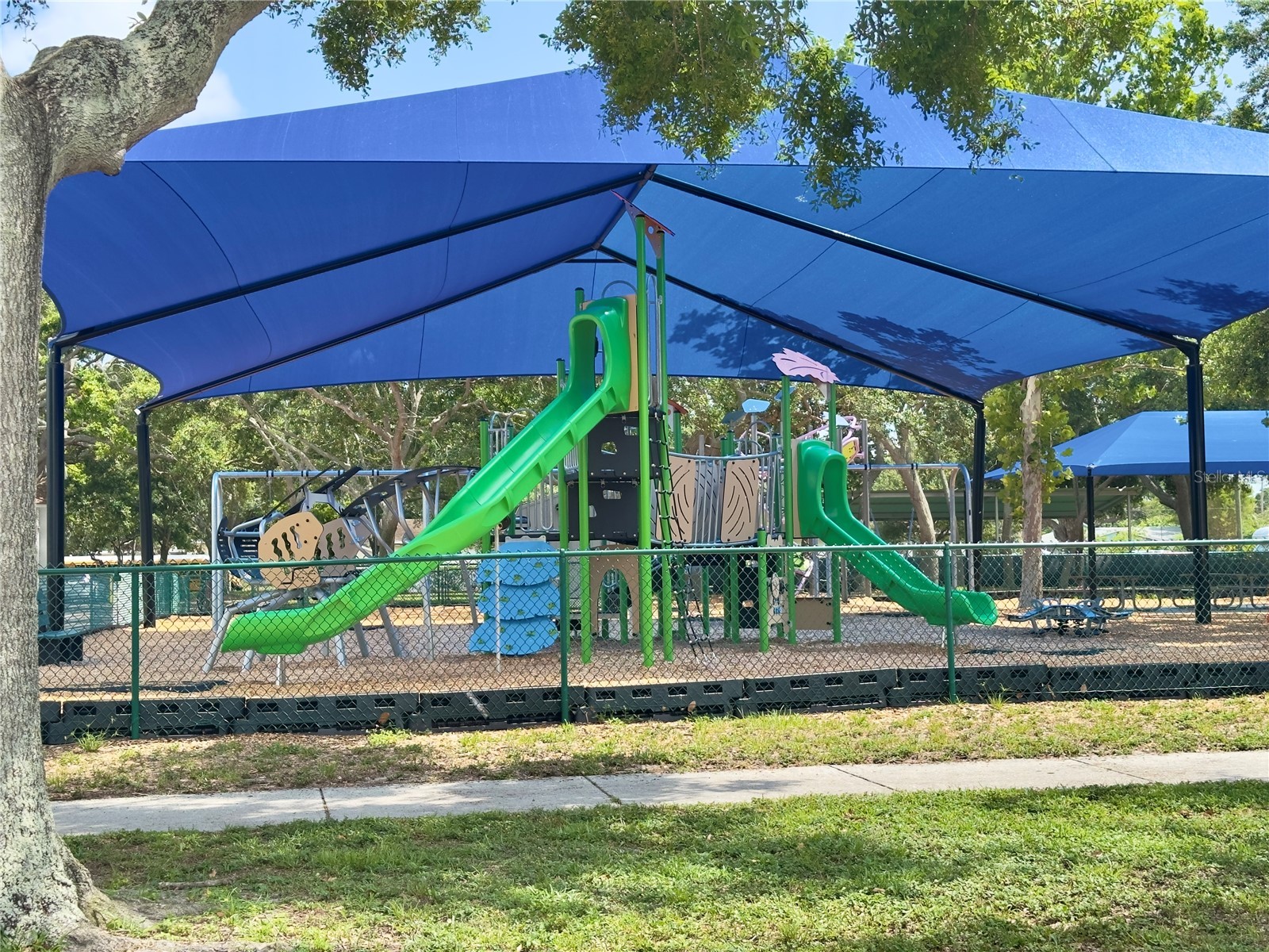 3020 Clinton Street S Gulfport FL 33707 TB8462828 image20