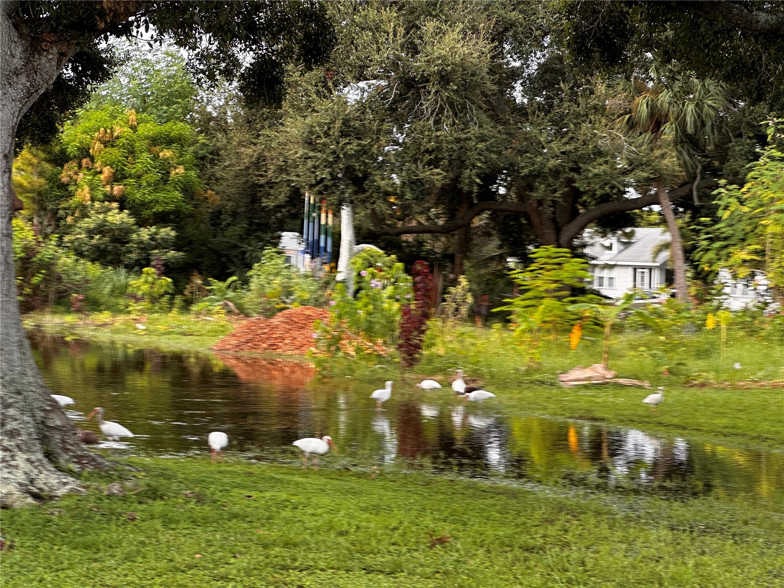 3020 Clinton Street S Gulfport FL 33707 TB8462828 image21