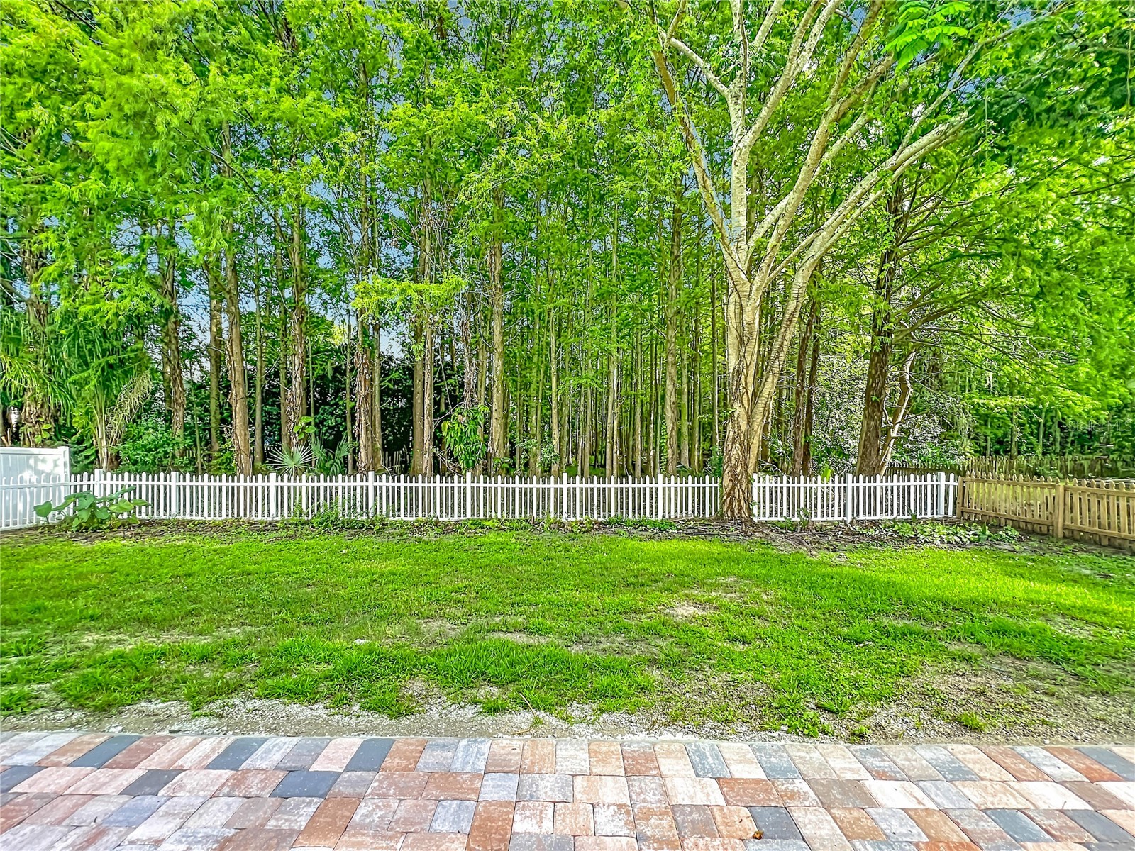 3020 Hartland Court Orlando FL 32825 S5153100 image77